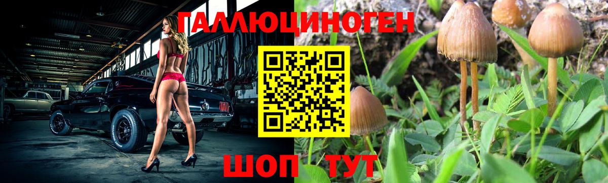 Менделеевск  Псилоцибиновые грибы мицелий  Вход с VPN 
